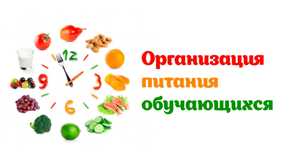 organizacija_pitanija.jpg