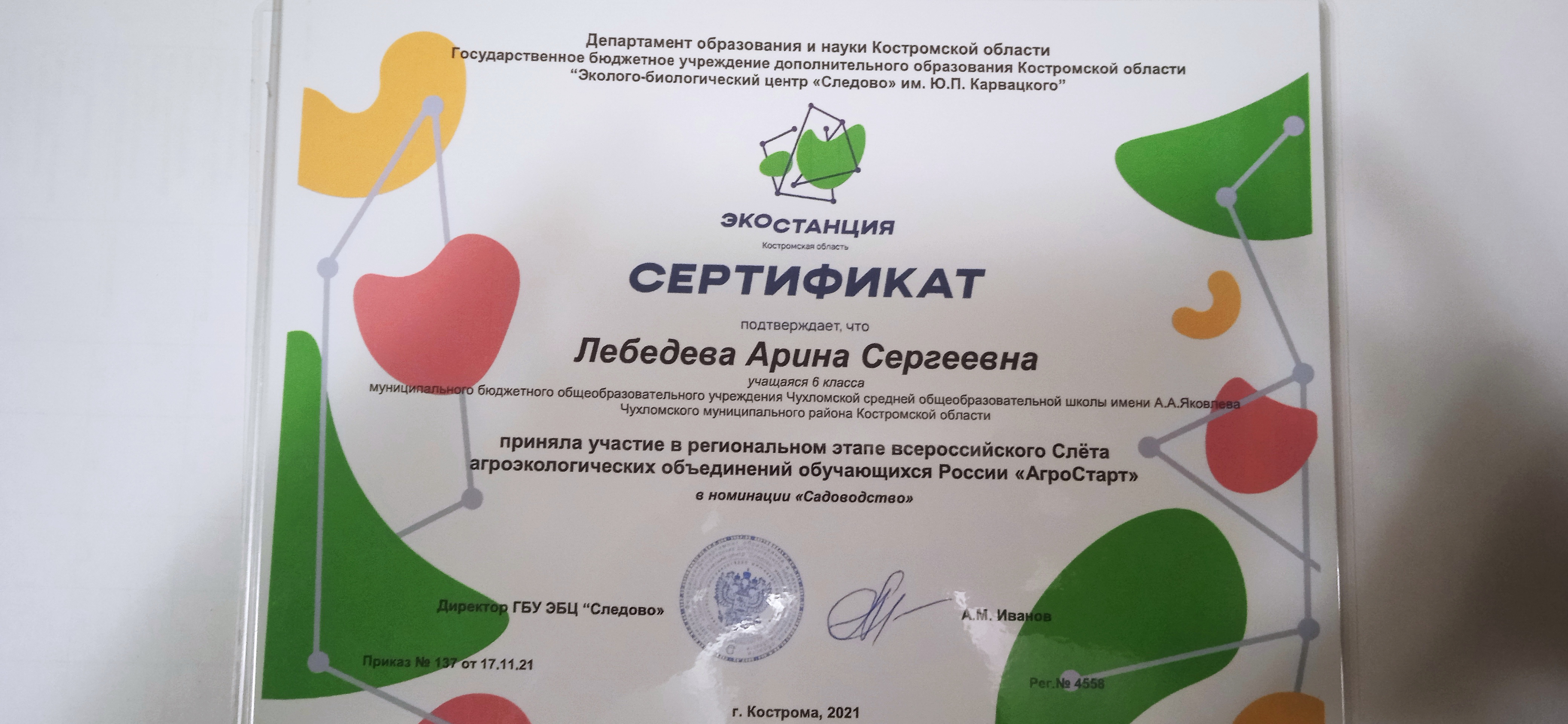 лебедева.jpg