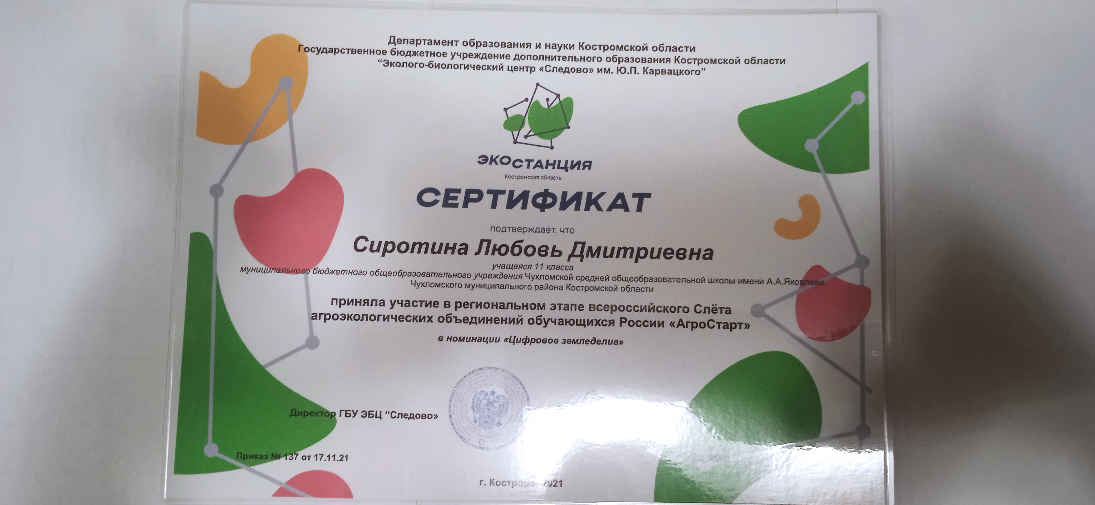 сиротина.jpg