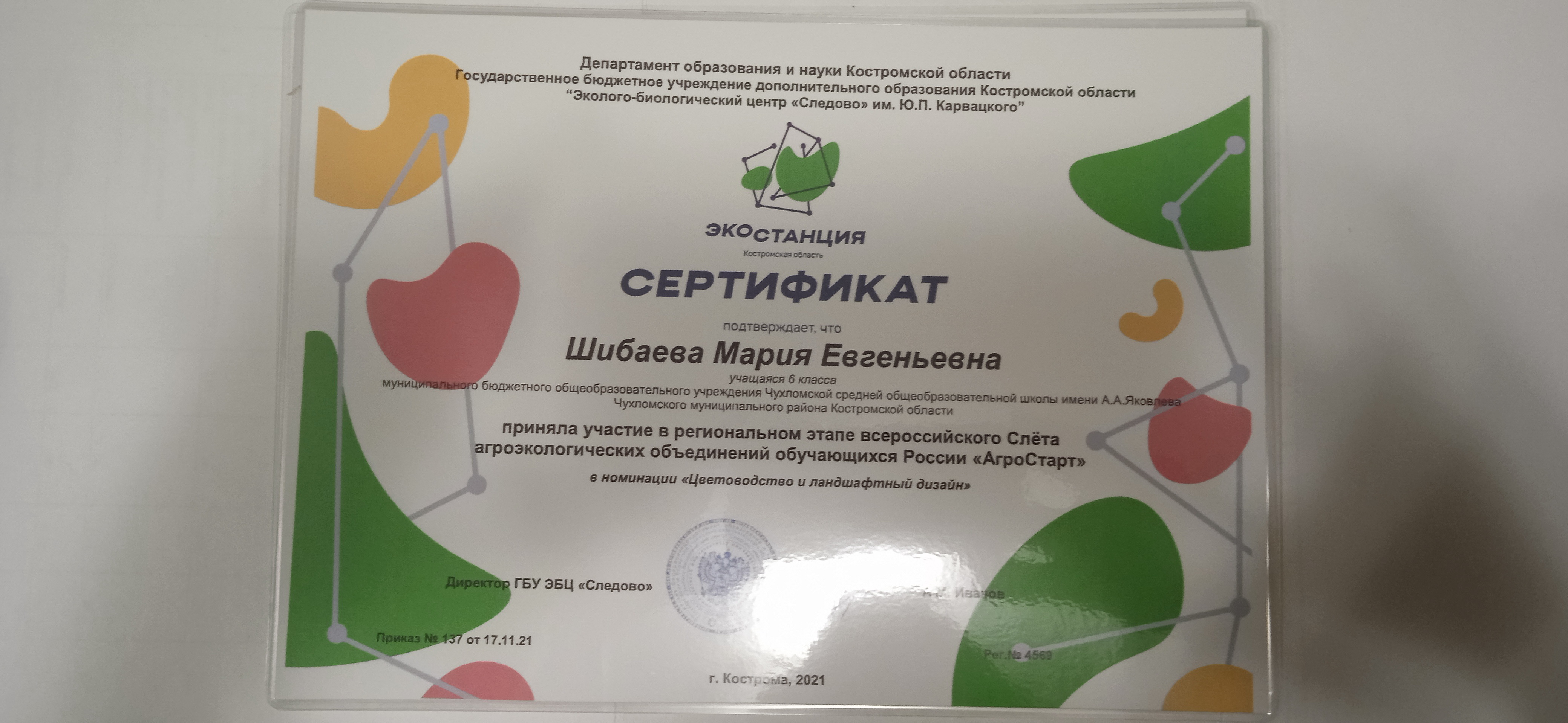 шибаева.jpg