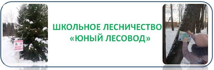 юный лесовод.jpg
