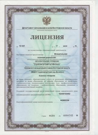 Лицензия.JPG