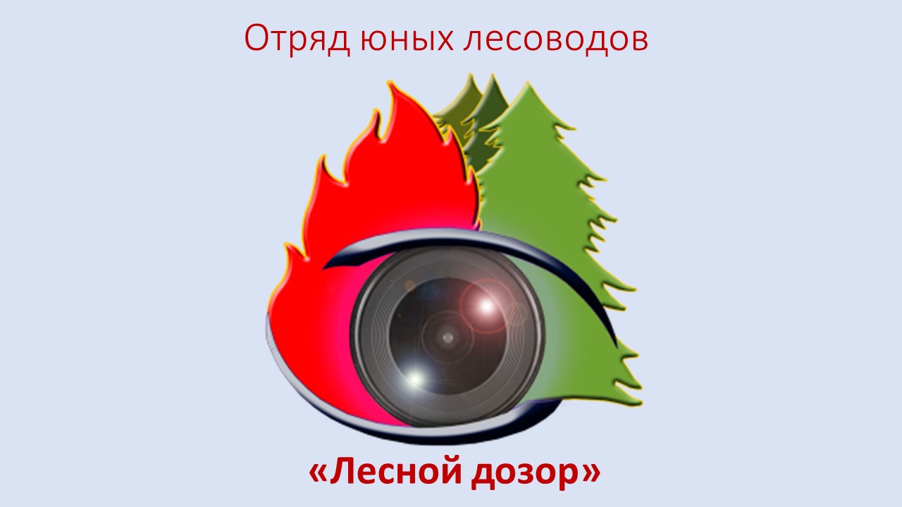 Отряд юных лесоводов 1.jpg