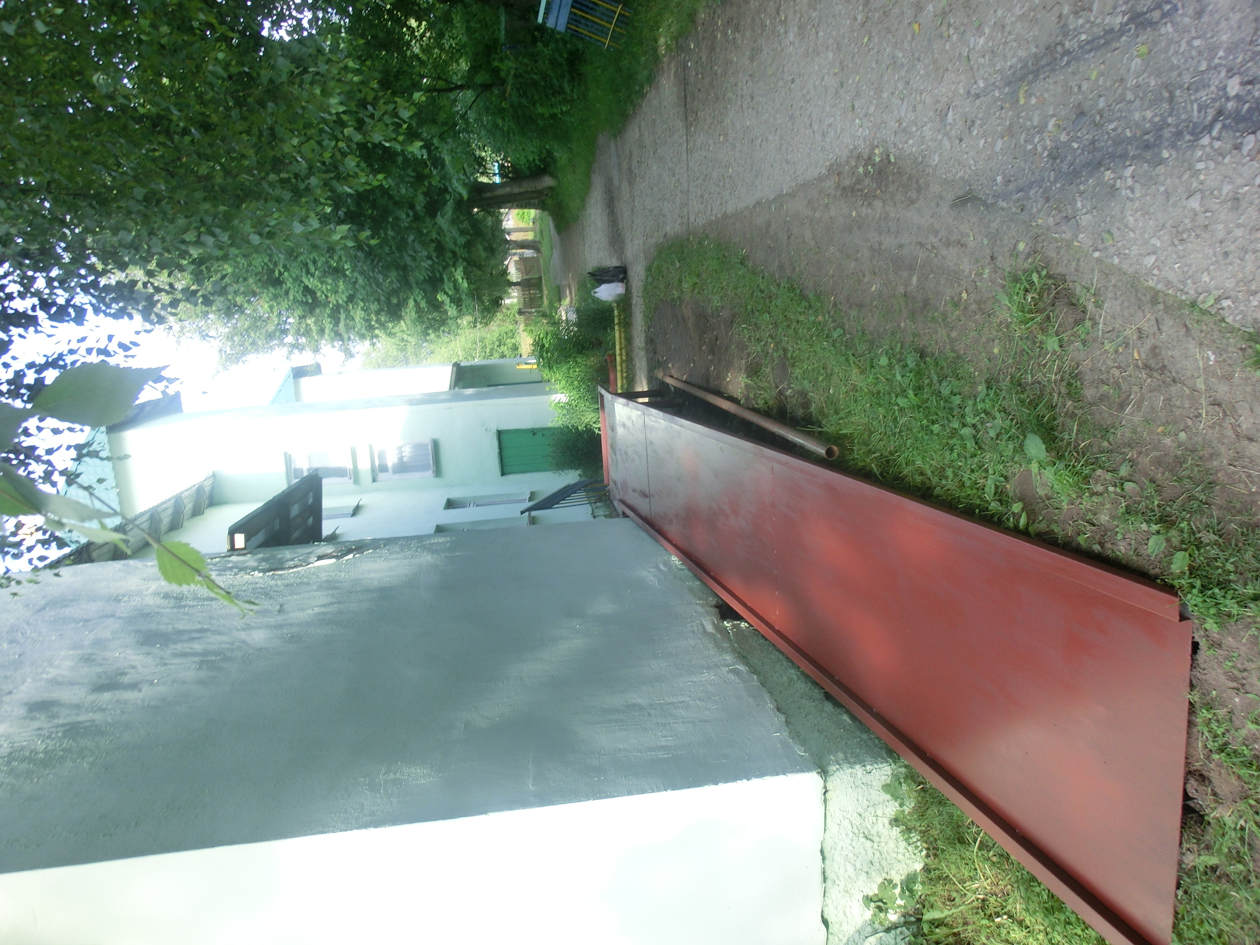 CIMG6550.JPG