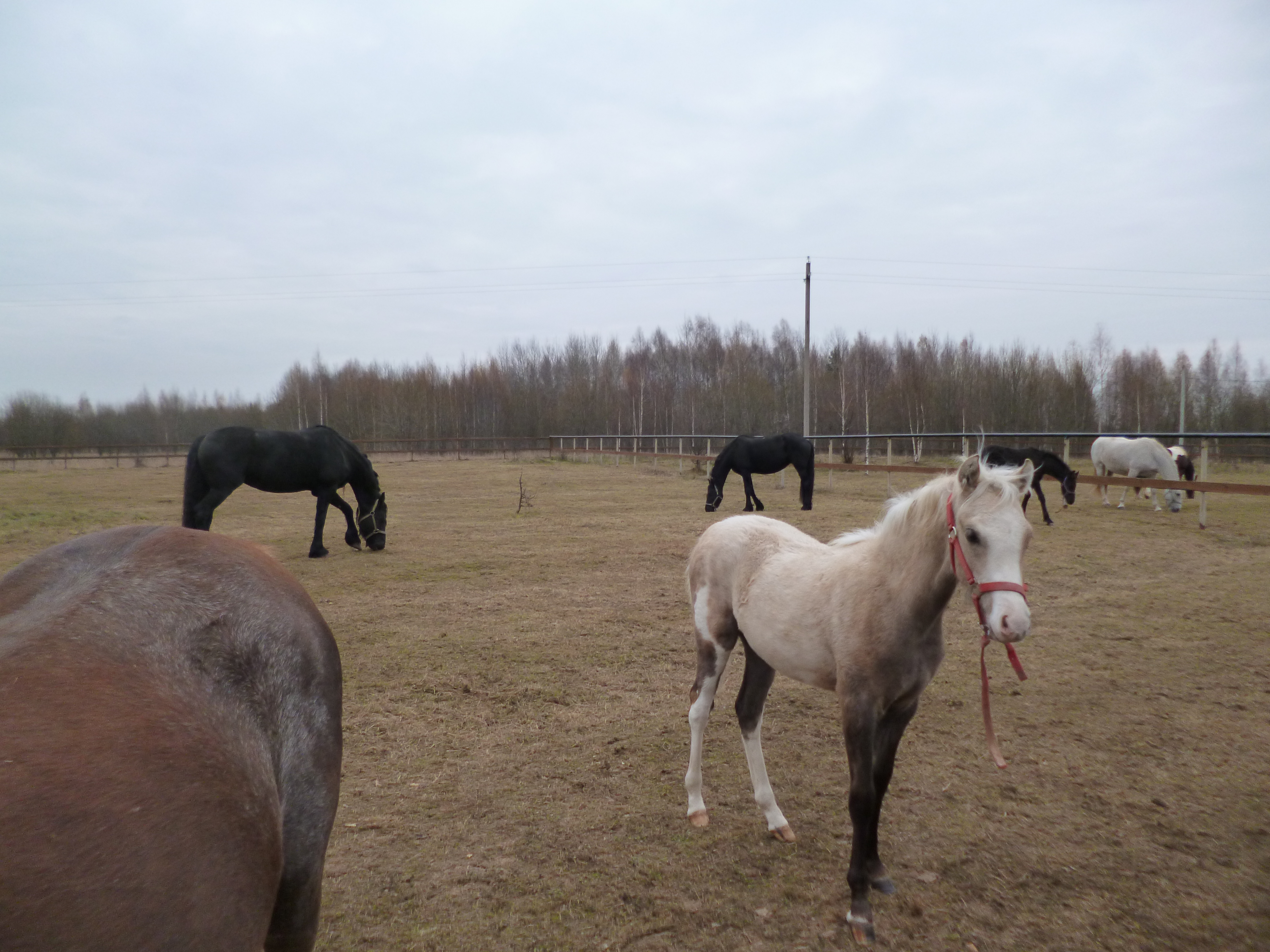 P1030243.JPG