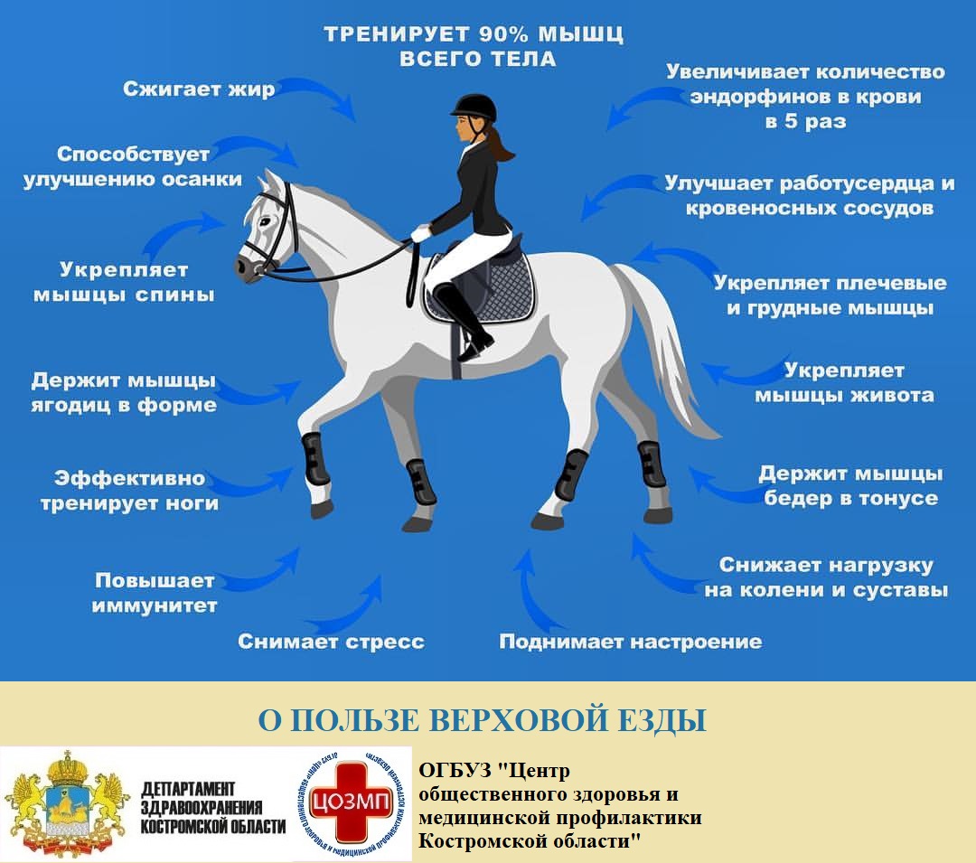 Верховая езда.jpeg