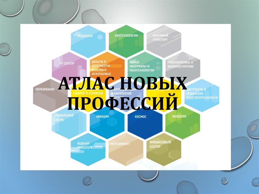 slide-17.jpg