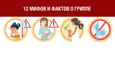 Slides_Mifi_i_Fakti.jpg