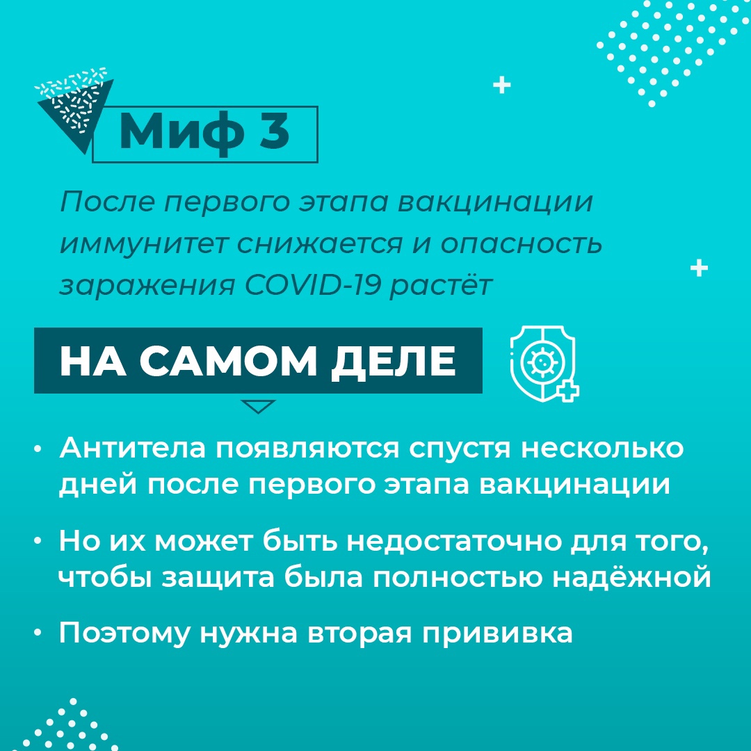 в3.jpg