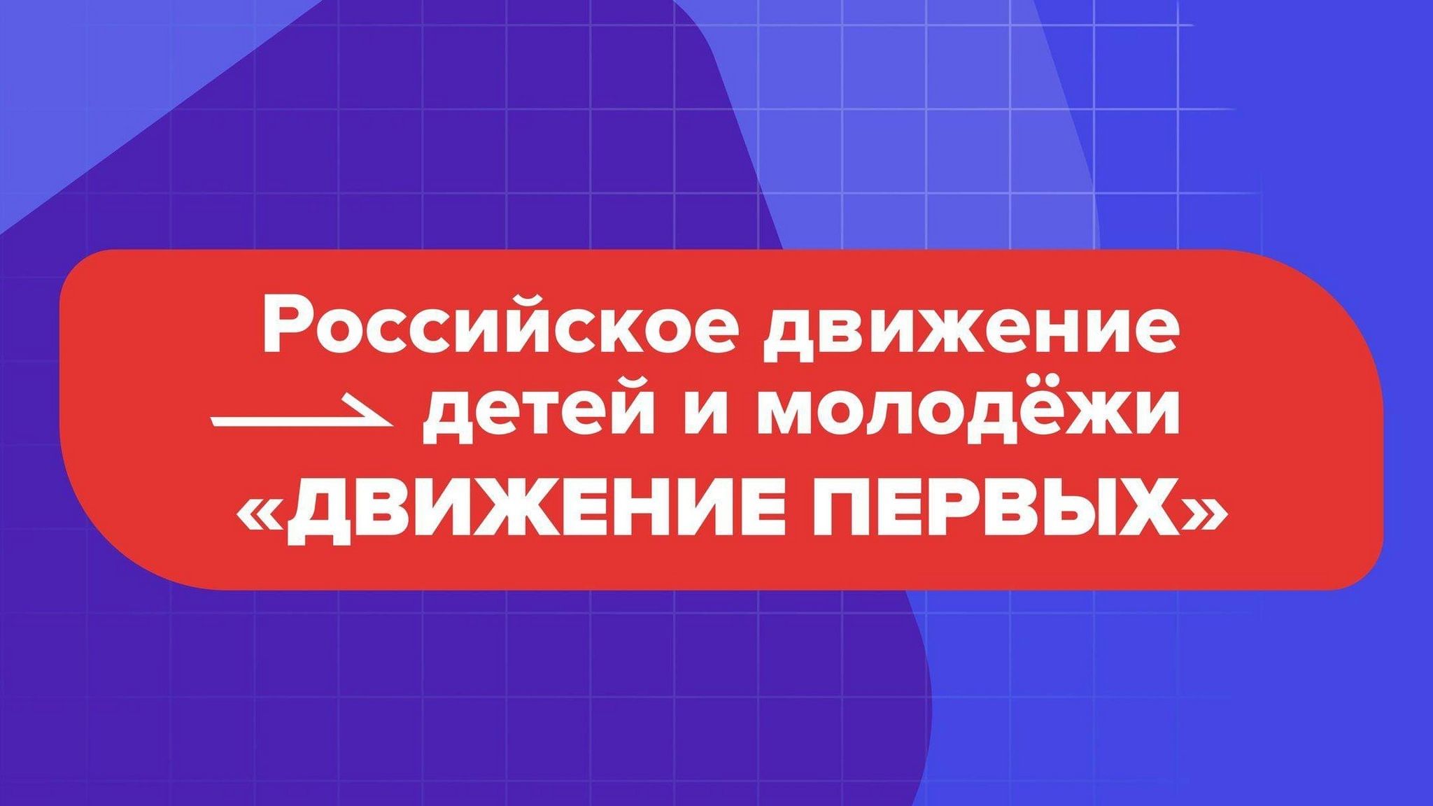 дви.jpg