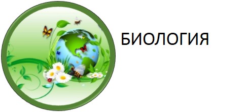 Рисунок1.jpg