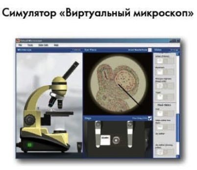 Рисунок