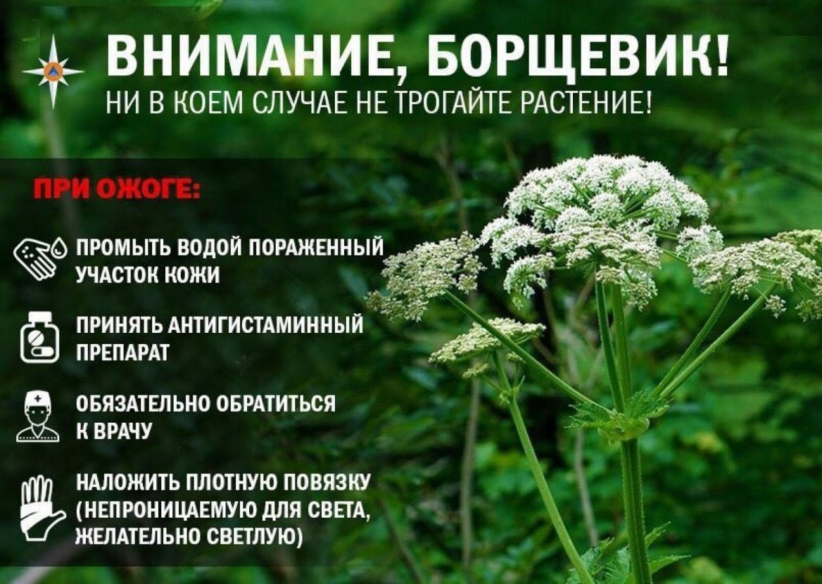 9akcy1srsyswyx95gds6o1anki5mb3zn.jpg
