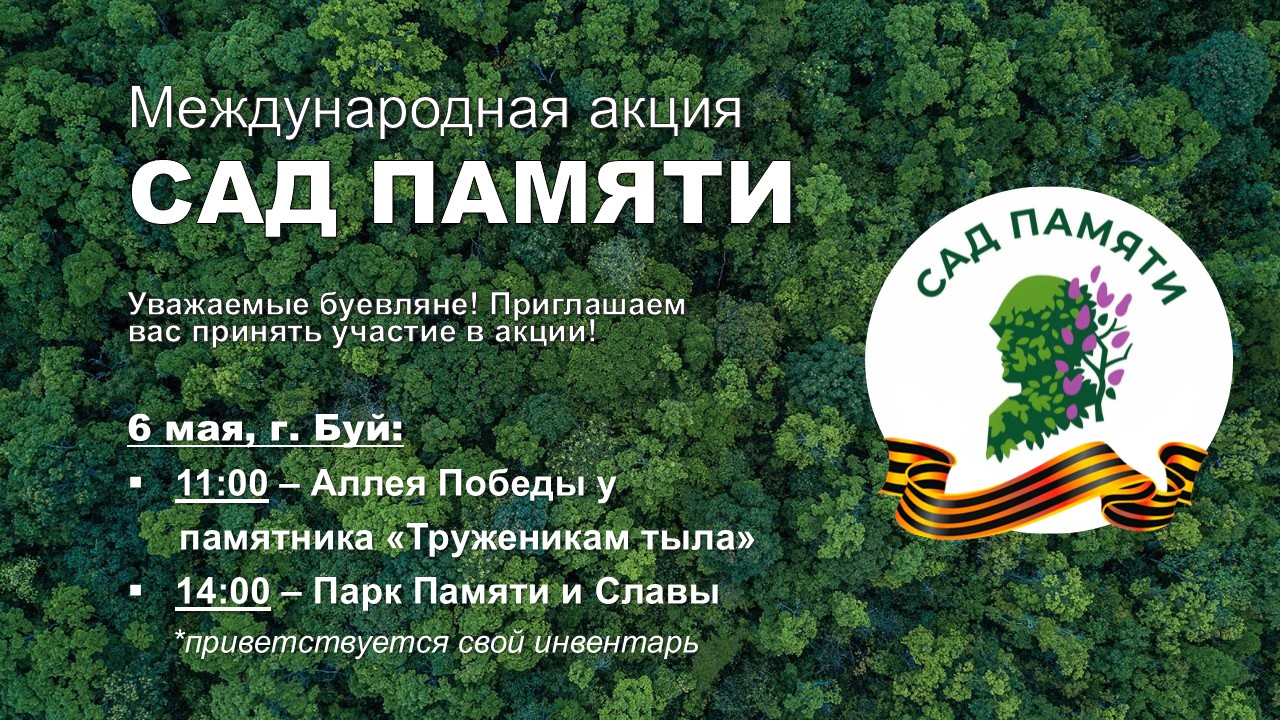 аф11.jpg