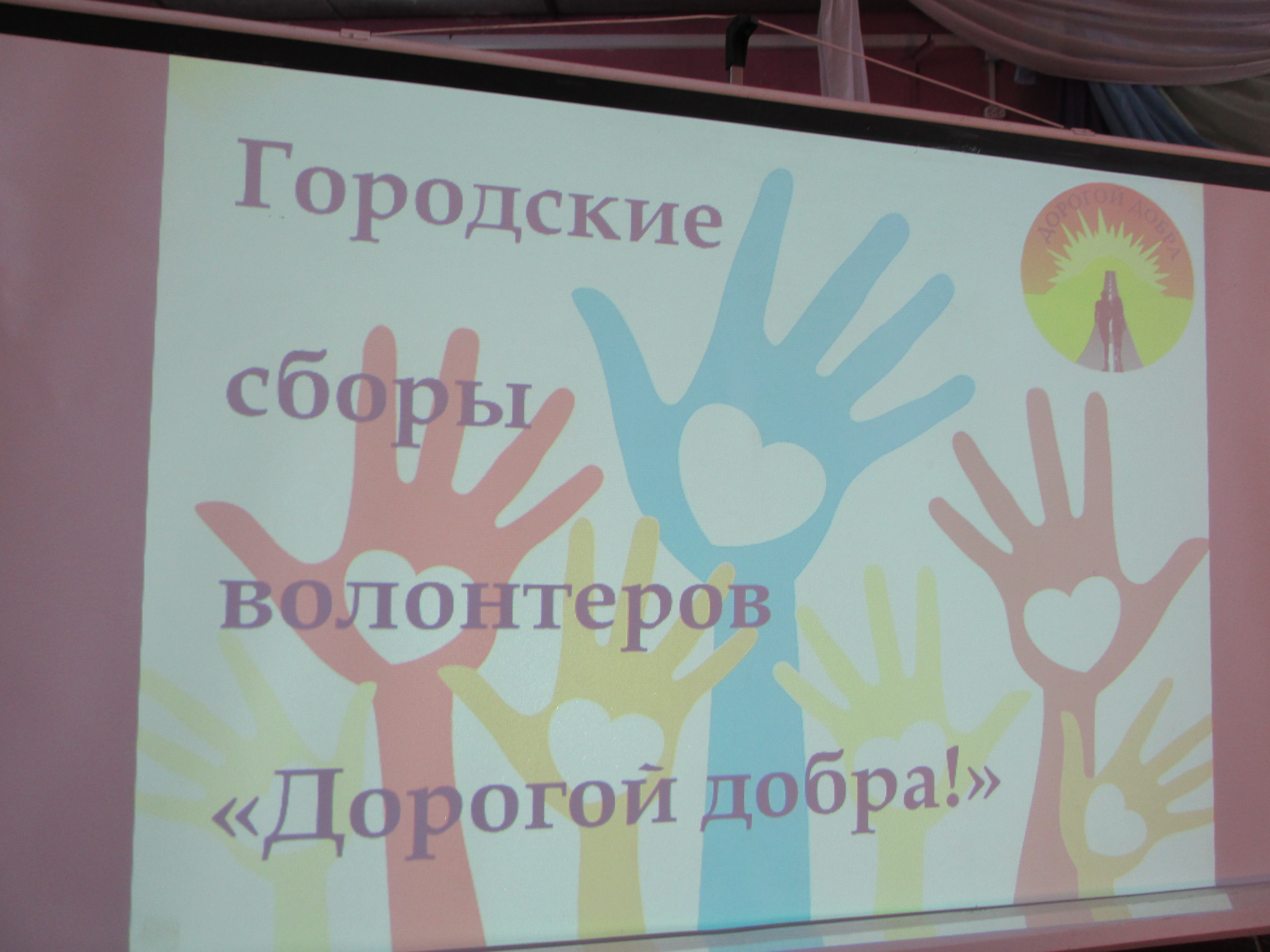 IMG_7013.JPG