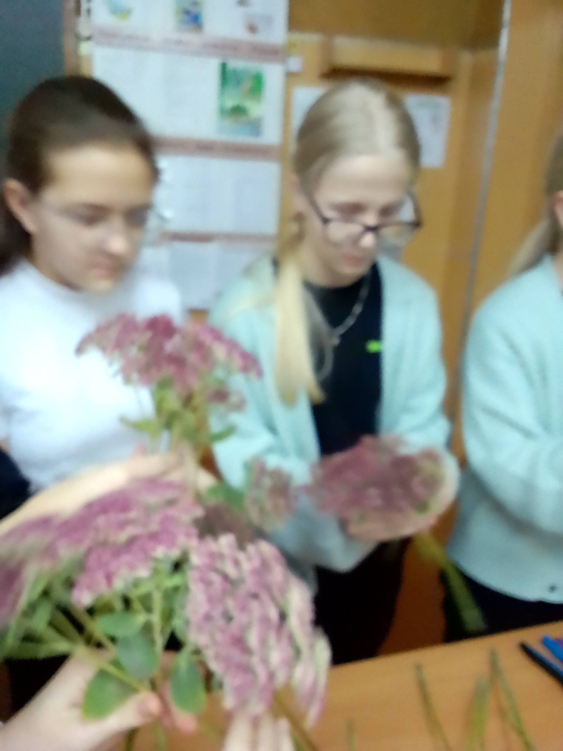 IMG_20221111_101712.jpg