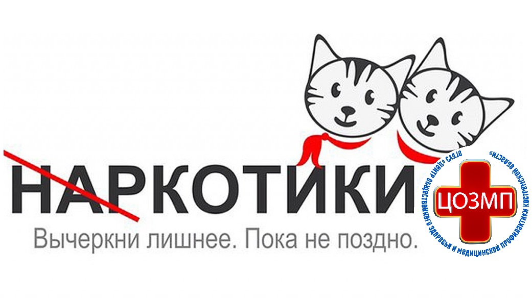 котики.jpg