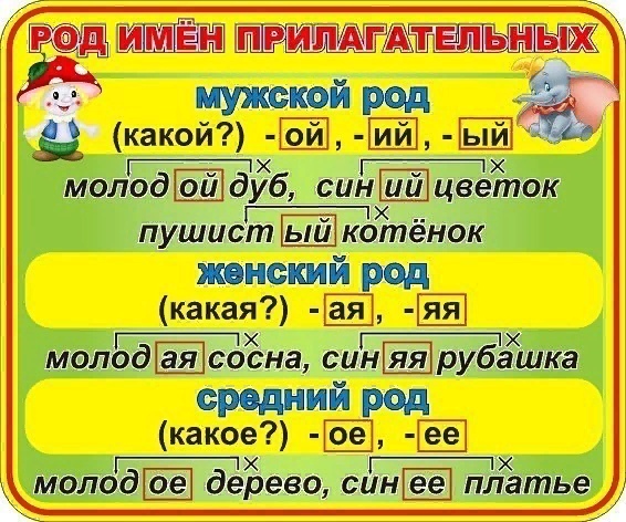 Род им. прилагательных.jpg