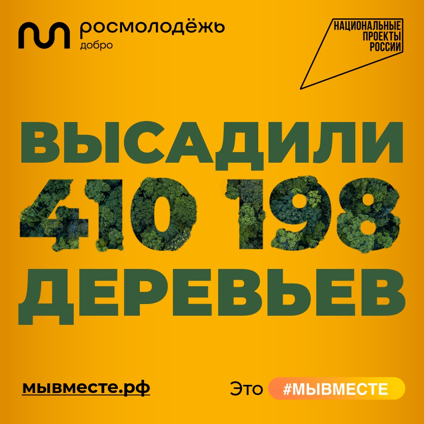 forest 400 400_page-0001.jpg