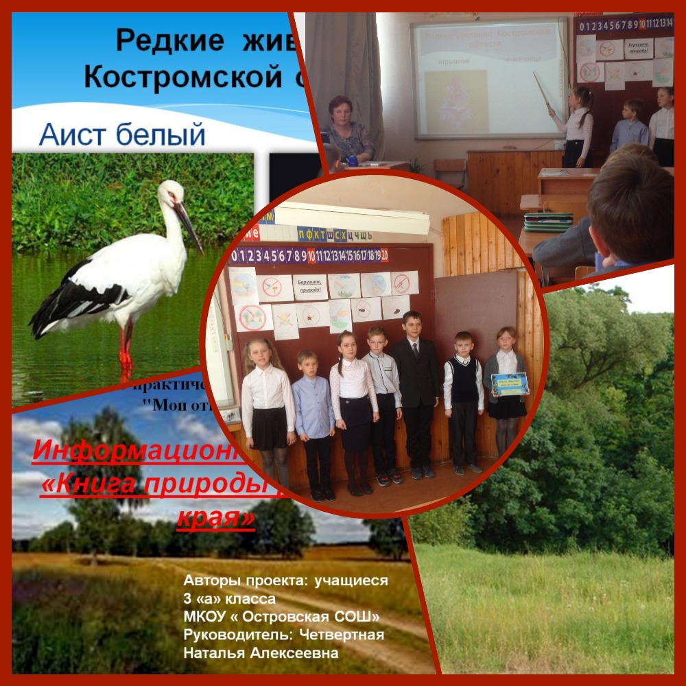 проект 3А класс.jpg