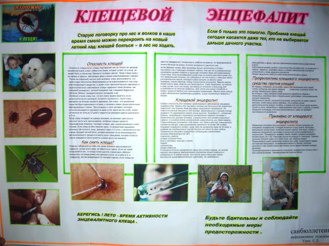 P1020959.jpg