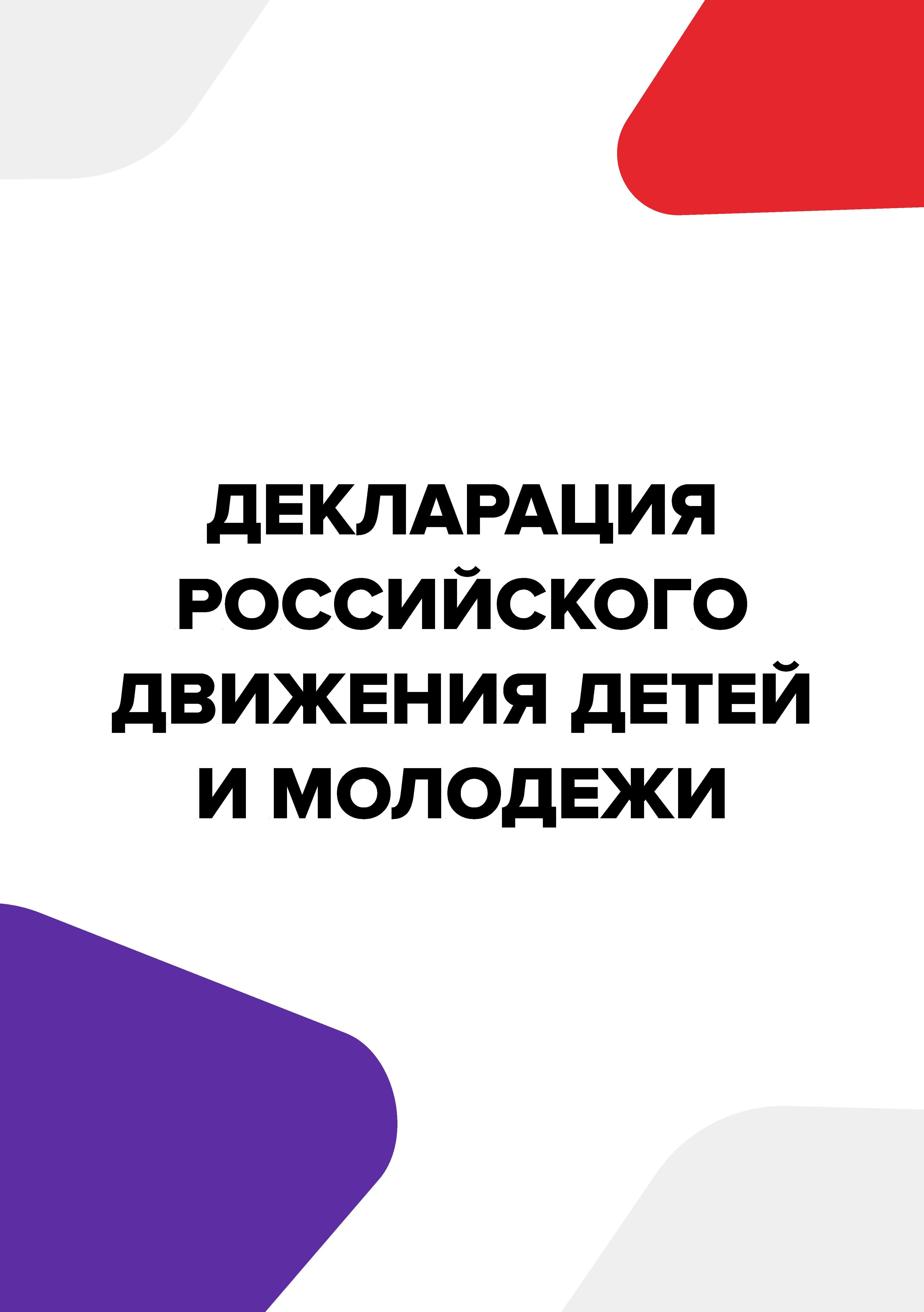 Декларация РДДМ - file-shop.ru (1).jpg