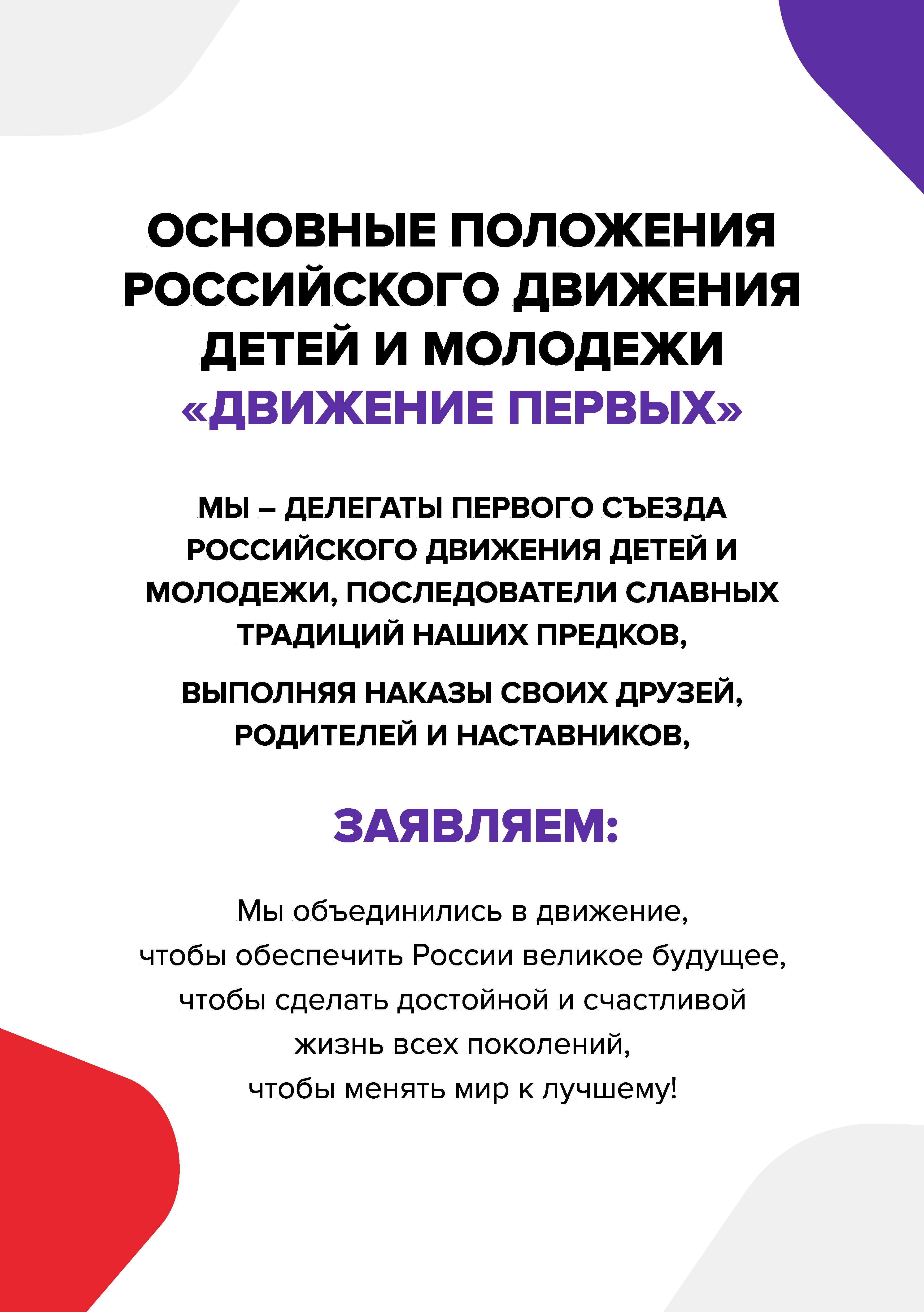 Декларация РДДМ - file-shop.ru (2).jpg