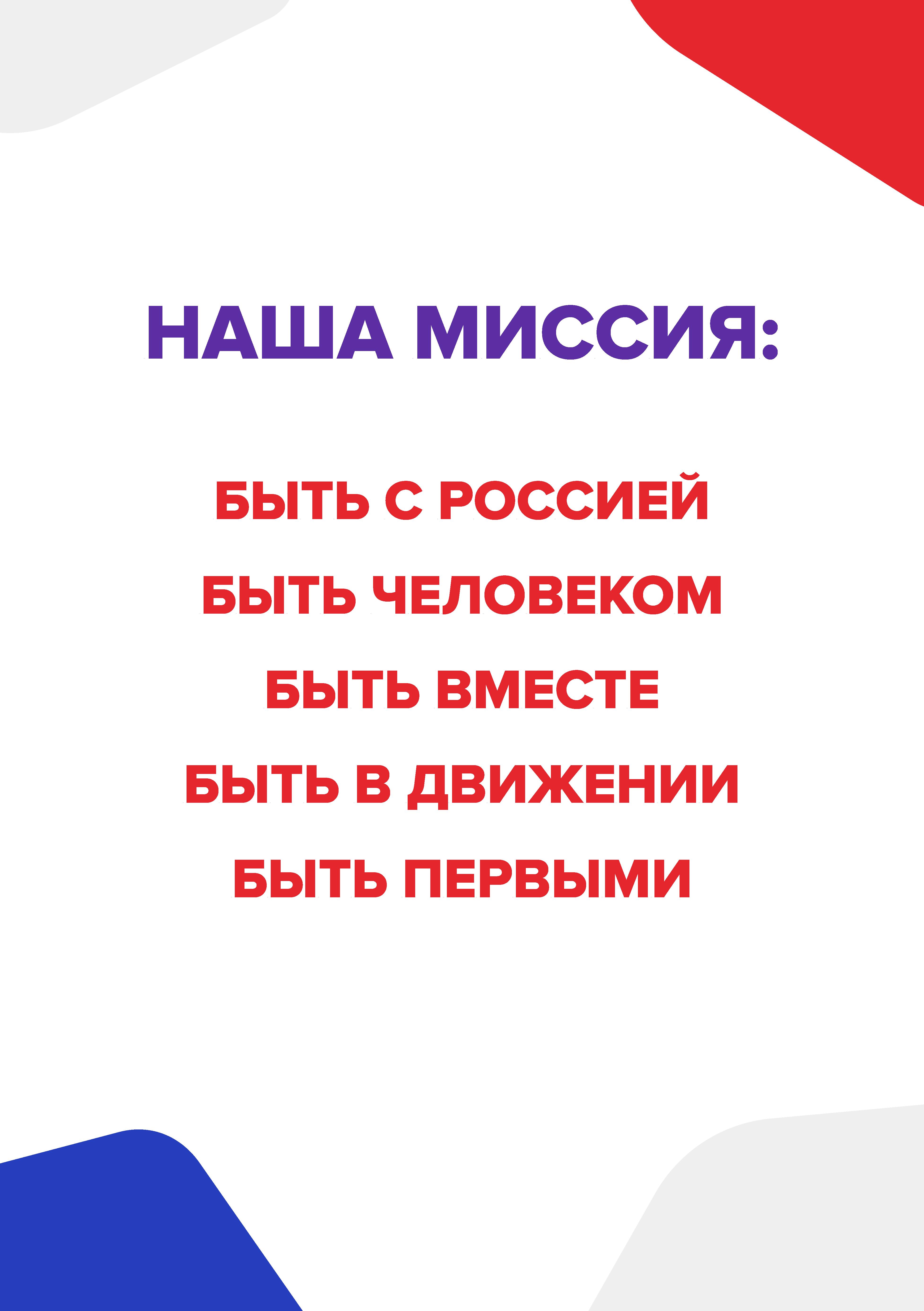 Декларация РДДМ - file-shop.ru (4).jpg