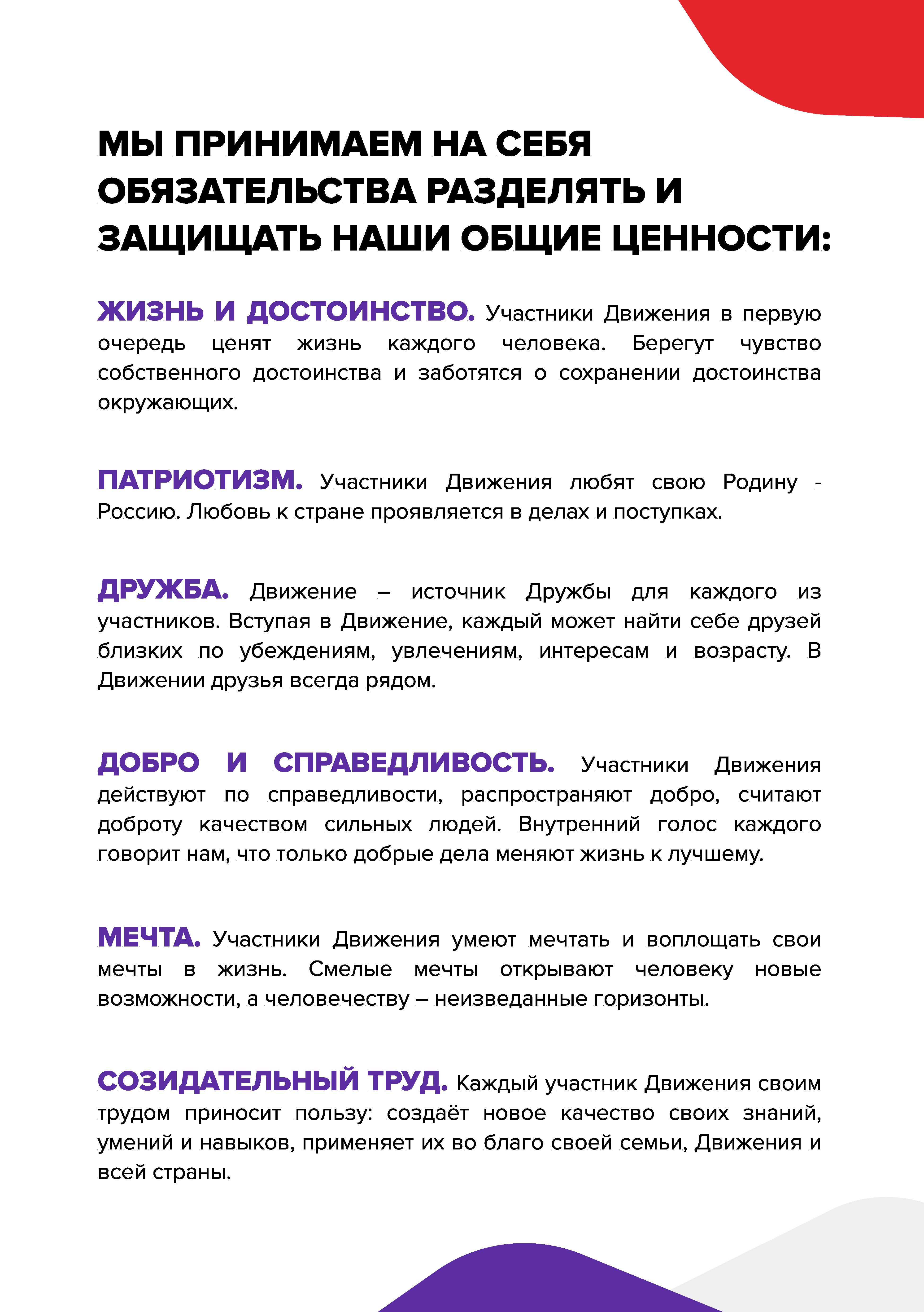 Декларация РДДМ - file-shop.ru (5).jpg