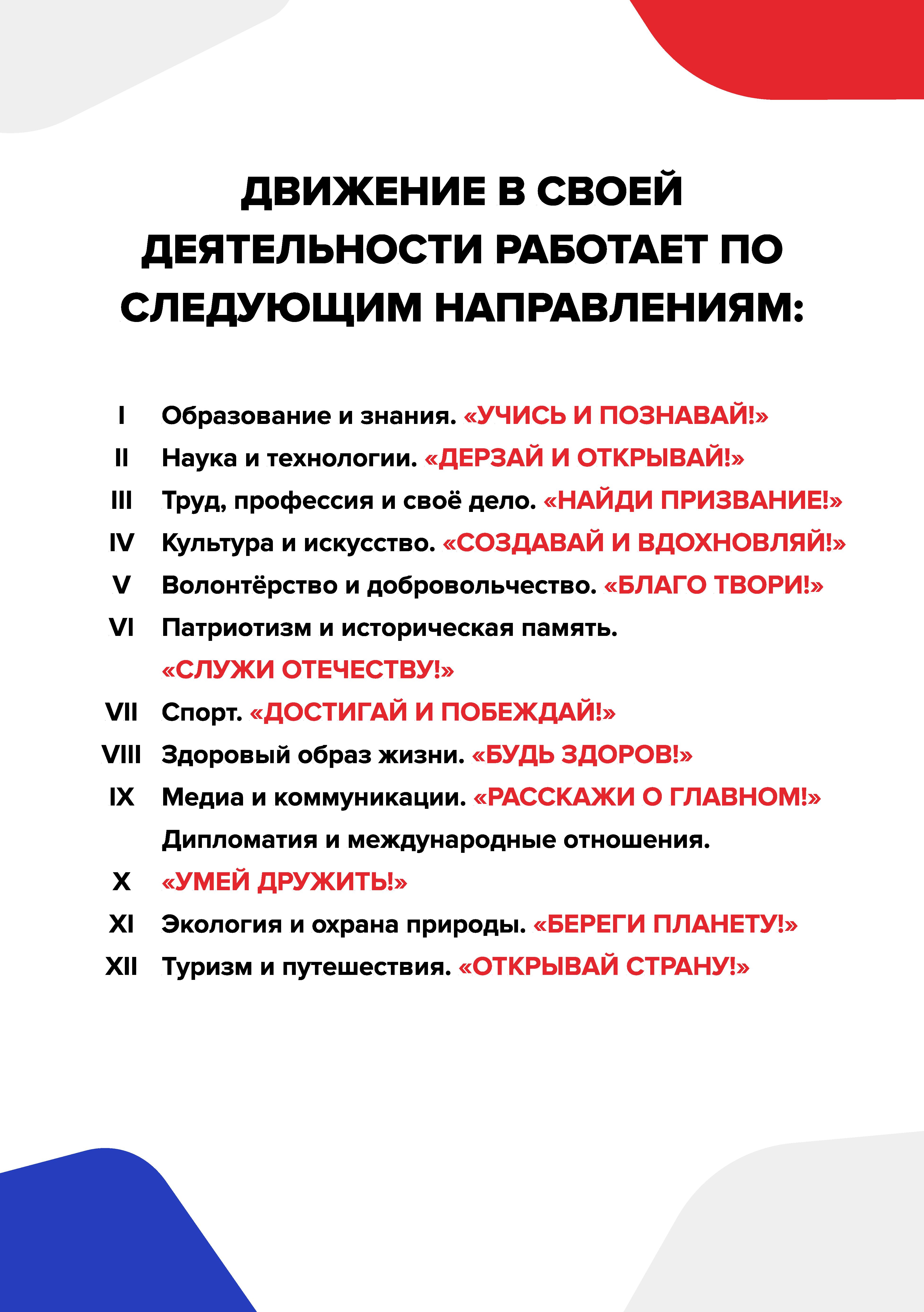 Декларация РДДМ - file-shop.ru (7).jpg