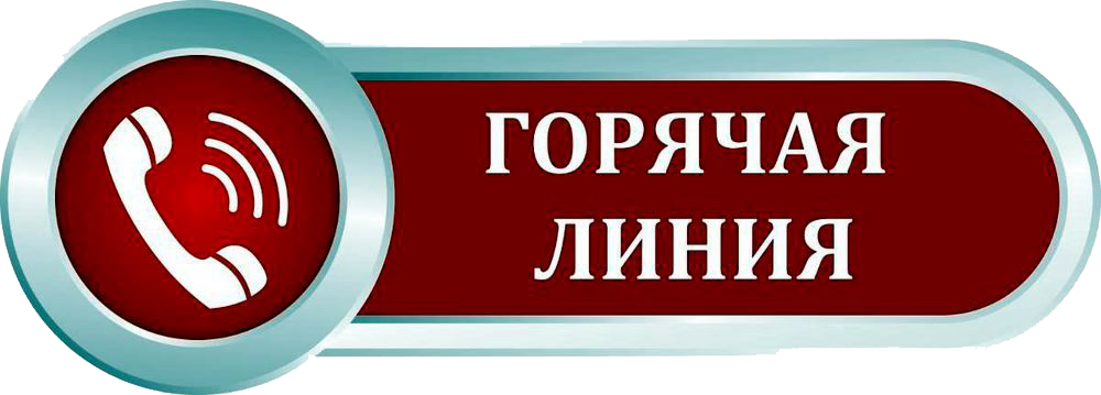 линия.png