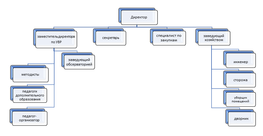 Структура организации.png