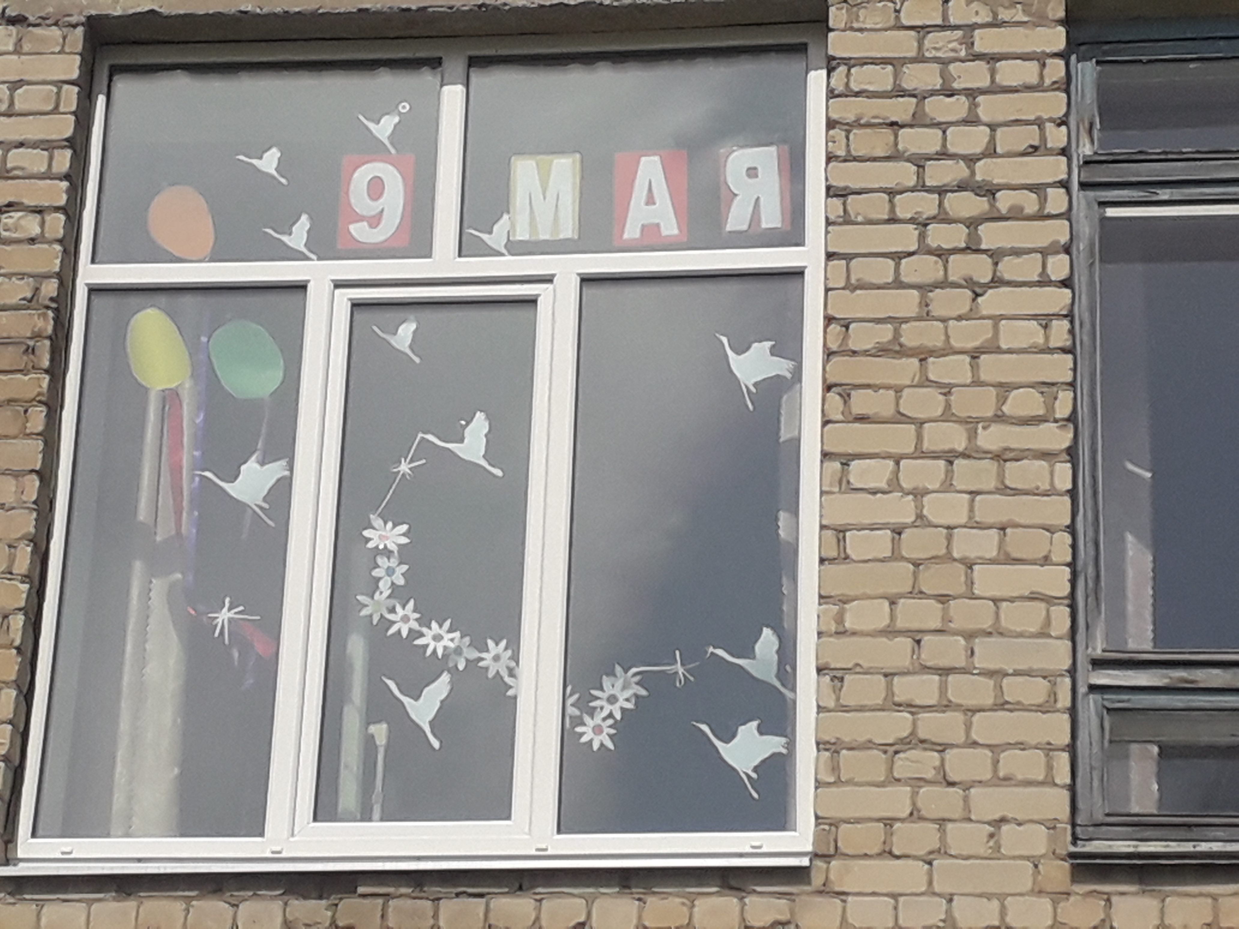 20200508_120241.jpg