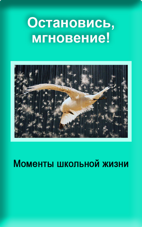 19 остановись мгнов.jpg