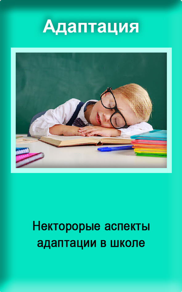 9 Адаптация.jpg