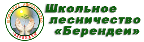 шлб.jpg