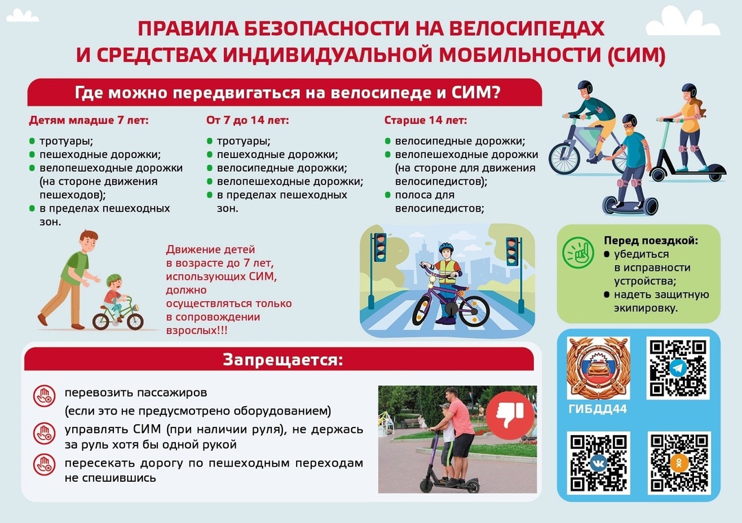 СИМ.jpg