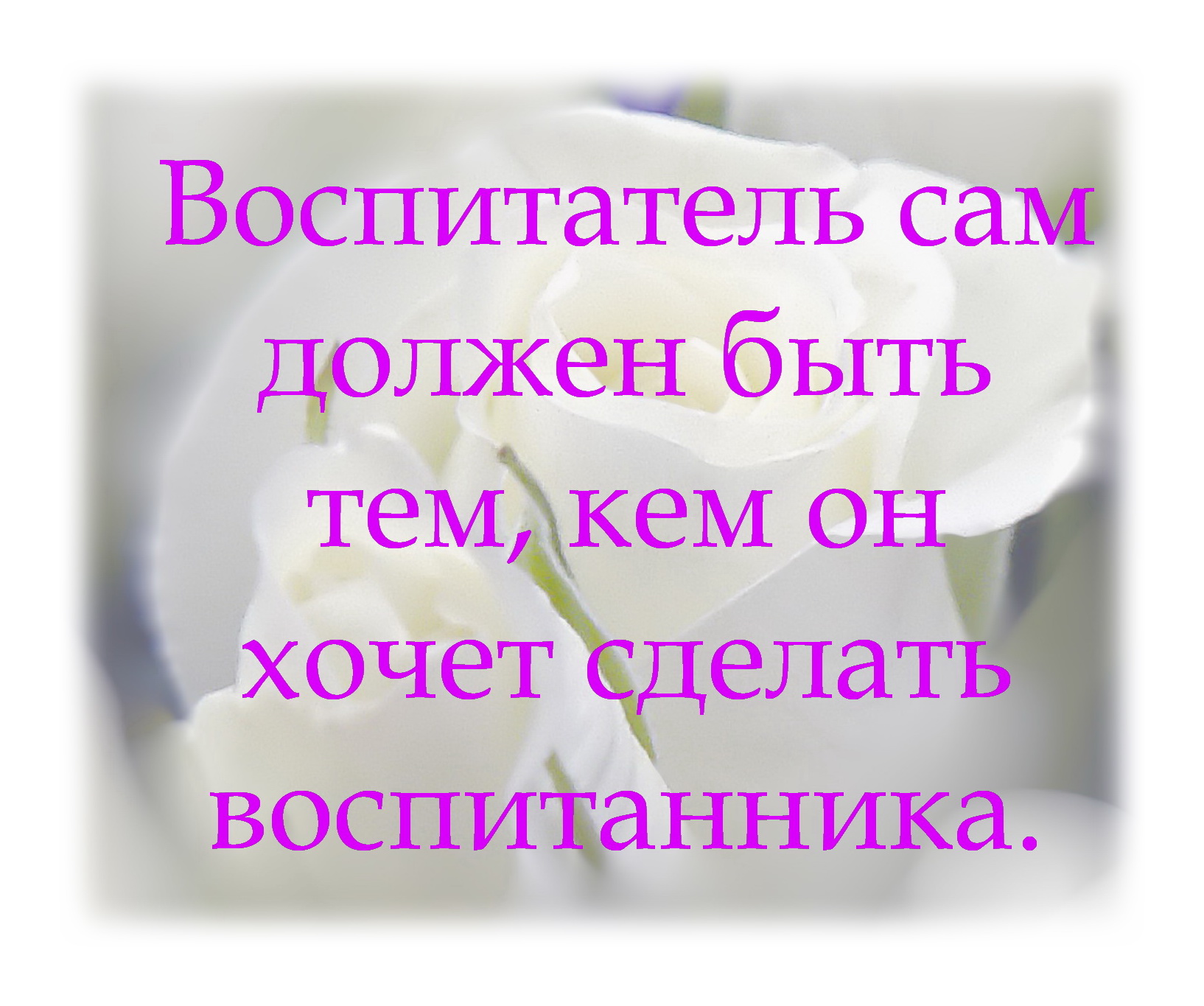 587f443f1b46e0397ec31b578887b1f3.jpg
