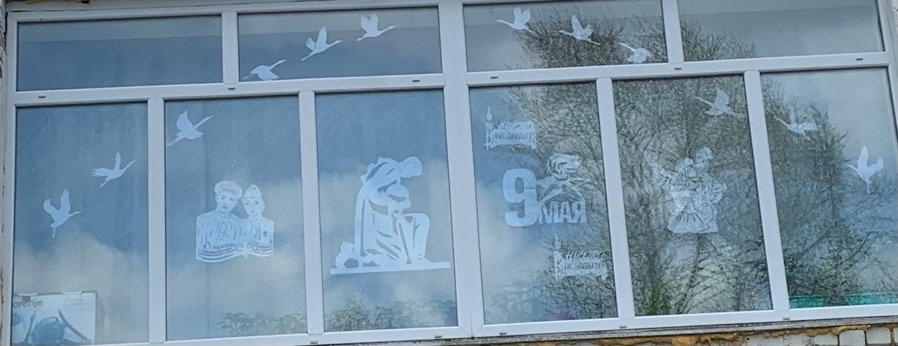 QSXYtiiaTn4.jpg