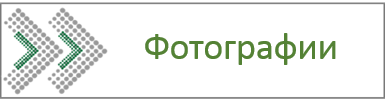 Рисунок1.png
