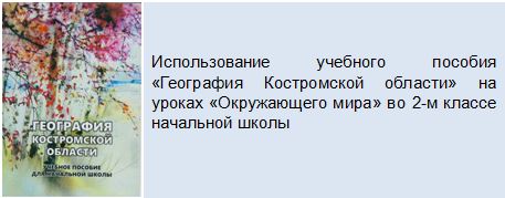 Лицей 41.JPG
