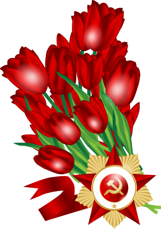 13475178.png