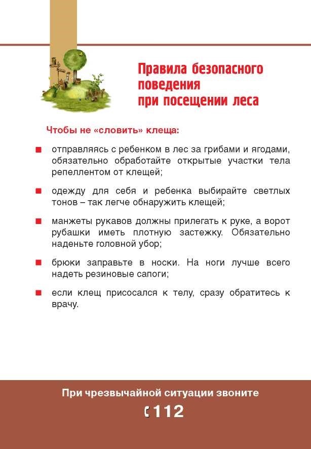поведение-при-посещении-леса.jpg