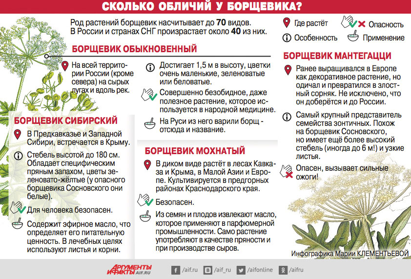rossii-obyavili-vojnu.-zachem-myi-priyutili-borshhevik-na-svoix-polyax-1.jpg