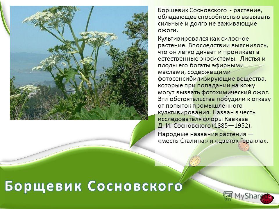 slide_17.jpg