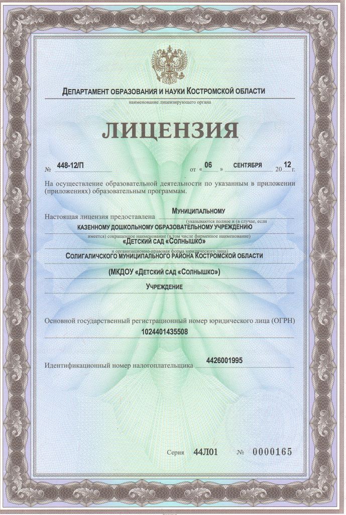 Лицензия.jpg