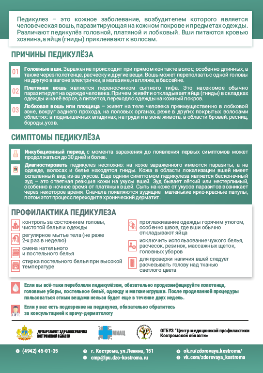 педикулез.png