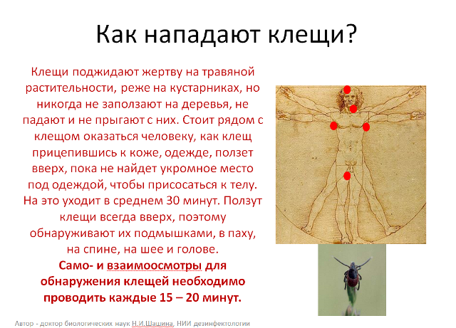 8.png