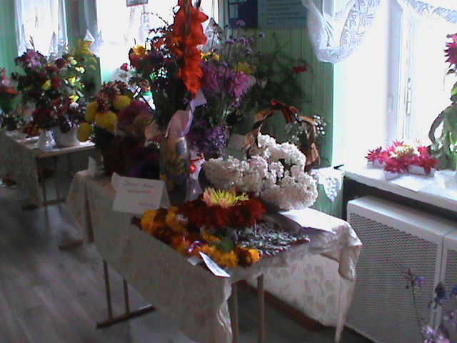 DSC06273.JPG