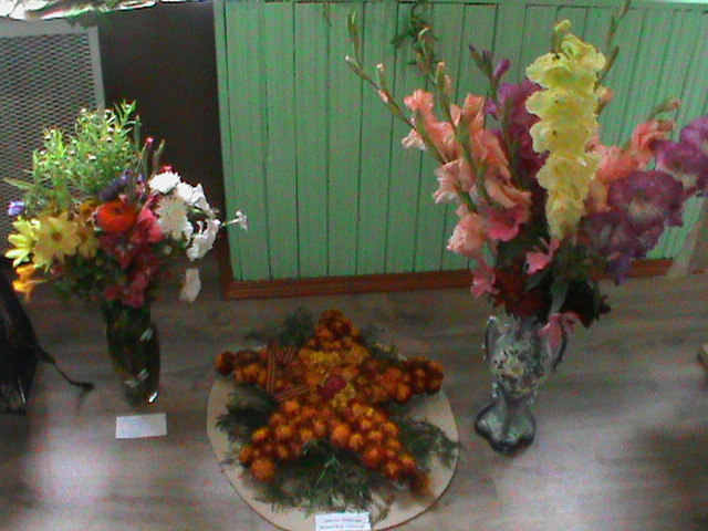DSC06289.JPG